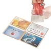 Nuevo tarjetero transparente, mate y anti-magnético para tarjetas bancarias, tarjetas de identificación y tarjetas de transporte; también sirve como cubierta protectora para prevenir la desmagnetización de tarjetas como las de comidas