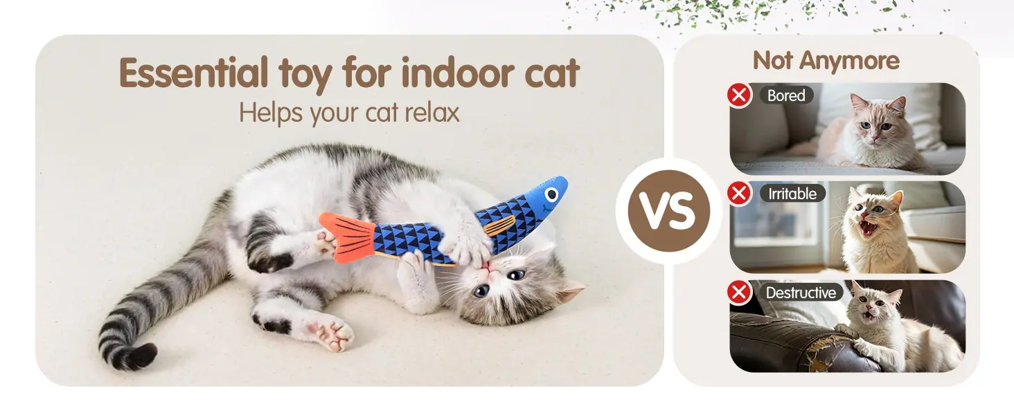 kitten toys