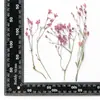 Xiacao Espécimen de Planta en Relieve Goteo de Gel Carcasa para Teléfono Móvil diy Material de Marco de Fotos Flores Secas en Relieve Flores Reales Maquillaje de Novia