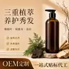 Champú para el Crecimiento del Cabello Hoja de Ciprés En Stock Extracto de Ginseng Angélica Raíz de Jengibre Champú Refrescante Control de Grasa Suavizante