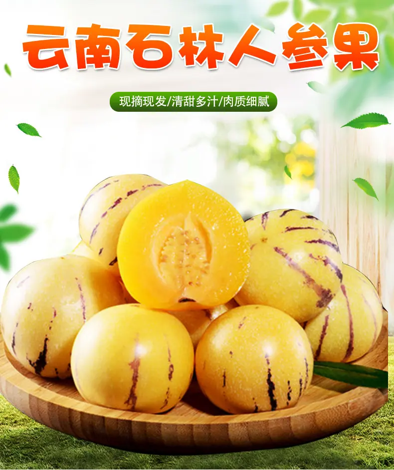 云南石林人参果详情图1