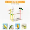 Percha para loro con perchas de colores, cascabeles, juguetes para trepar y morder, características para afilar las garras y aliviar el aburrimiento, columpio de cuentas de colores, percha de entrenamiento, percha para loro