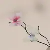 Accesorio de Hanfu de Gasa Estilo Antiguo con Gradiente de Doble Capa, Pasador para el Cabello de Disfraz Antiguo con Textura de Seda de Hada, Pasador de Mariposa de Alta Gama para Mujer