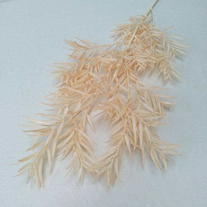 香槟色