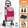 Carrinho Pequeno para Compras de Supermercado para Uso Doméstico Grande Capacidade Portátil Dobrável Carrinho de Compras Subir Escadas Rodas de Cristal Resistente ao Desgaste Aço Inoxidável Carrinho Pequeno