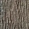 Corteza de árbol artificial para uso en interiores y exteriores, cubiertas para tuberías, paneles de pared decorativos, accesorios, pilares, decoraciones para tuberías y árboles artificiales