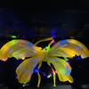 Balão de asas de borboleta luminosa atacado barraca asas luminosas irmãs festa de aniversário infantil foto adereços infláveis