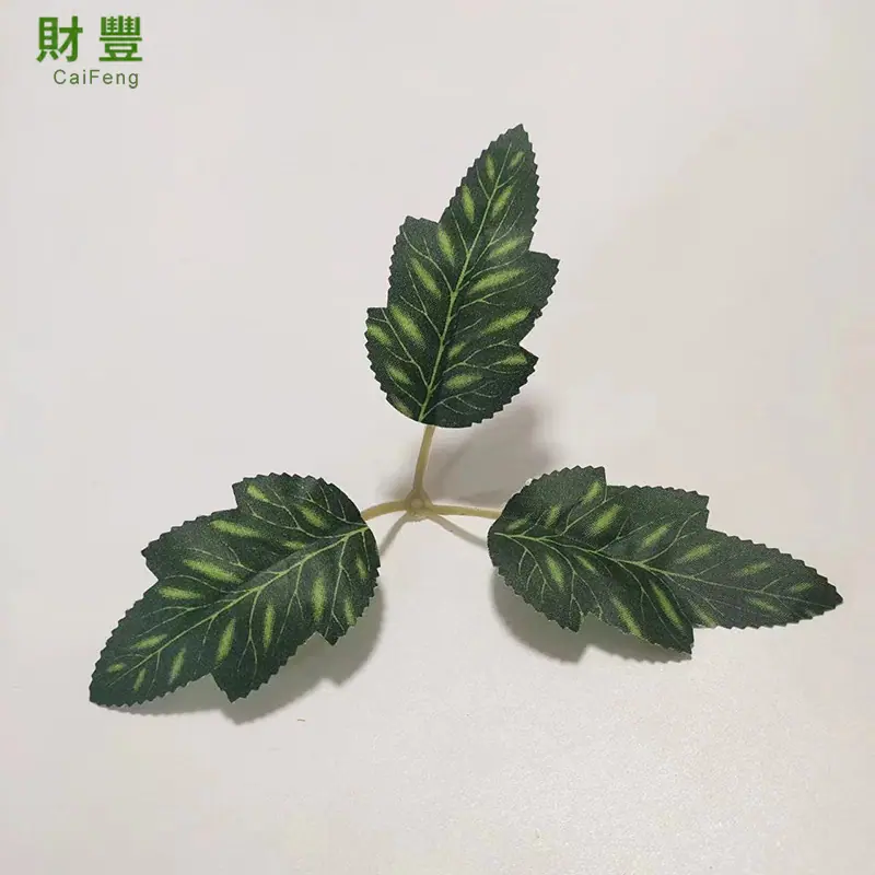 三叉花点菊叶.jpg