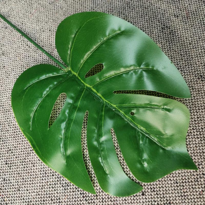 单只连体龟背浅绿色