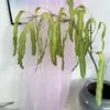 Folhas de samambaia artificiais e plantas verdes para decoração, acessórios para cena de casamento, plantas artificiais para decoração de interiores