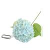 Hortênsia Hortênsia Flor de Hortênsia Azul Hidratante Flor Flor Flor Flor Flor Flor Decoração para Sala de Estar