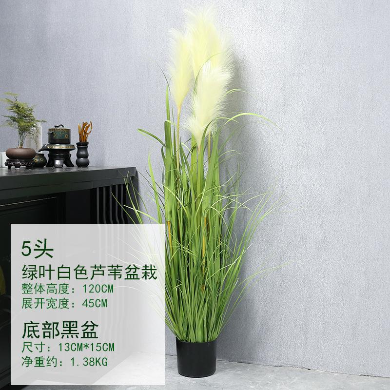 120CM绿叶白色芦苇盆栽.jpg