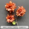 Boda Flores Artificiales Naranja Flores de Seda Boda Naranja Material de Flores Fondo de Pared Mesa Guía de Camino Arte Floral Decorativo