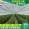 Estufa de Tubo Redondo para Estações Frias de Primavera e Outono, Estufas em Arco, Estufas Túnel, Cultivo e Plantio com Tubo de Aço, Conjunto Completo para Uso Doméstico, Galinheiros e Suinodouros, Estufa Multibox de Plástico