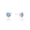Pendientes de plata 925 brillantes de alta calidad con temperamento, pendientes de circonita con microincrustaciones de amor y orejas de piedra de estrella de diciembre