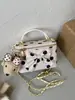 Bolso de Lunares Versátil para Mujer 2026 Nueva Moda Mini Bolso Cuadrado Caja Bolso Cruzado Simple con Cadena