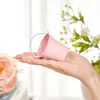 Mini vaso de flor de suculenta de ferro para desktop, cor de doce, criativo, novo, balde pequeno de ferro de lata colorido