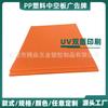 Placa divisoria para tarjetas de cuchillo con revestimiento de equipaje naranja, placa de caja de rotación logística de almacenamiento, tablero hueco de PP, tablero publicitario wantong