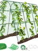 Treliça de Pepino Estilo Pastoral, Treliça de Feijão, Treliça de Uva, Treliça de Tomate, Estrutura de Suporte para Plantas Trepadeiras de Melão