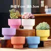 Vaso de flor de suculenta em cerâmica com prato, oferta especial, diâmetro grande, tamanho grande, vaso criativo para suculentas de casa