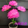 Coloque el Arreglo Floral de 5 Crisantemos, Flores Qingming, Flores Injertadas al por Mayor, Flores de Tela de Dalia, Flores Artificiales Sacrificiales, Cinco o Siete Flores