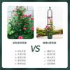 Treliça Personalizada para Clematis Trepadeira Estrutura de Trepadeira Estrutura para Plantas Suporte Pequeno Suporte para Flores Rosa Suporte para Flores Externo Estrutura de Trepadeira para Flores