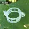 100 Peças Clips Espessados para Fixação de Plantas para Vegetais, Pimentões, Tomates, Clips de Jardim, Clips para Mudas, Clips de Suporte para Trepadeiras Atacado