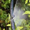 Cabezal Microaspersor Atomizado de Refracción de 180 Grados Negro 6.0mm Diámetro Interior Rociado Unidireccional Esquina Vivero de Flores Árbol Frutal Micro-aspersión