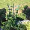 Suporte de Flores Amazon Estrutura de Treliça Vaso de Flores Garra de Caranguejo Orquídea Rosa Clematis Suporte de Plantas Estrutura de Treliça para Horta Planta Verde