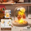 Luz de Noche de Gelatina de Concha de Erizo de Mar Natural Kit de Materiales Hechos a Mano para Bricolaje Adorno Decorativo Regalo para Niños y Novias
