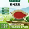 Polvo de Yangmei, Sustituto de Comida a Base de Frutas y Verduras, Polvo de Fruta de Yangmei, Jugo, Polvo de Fruta Instantáneo, Ingrediente para Bebida Sólida Liofilizada