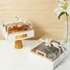 Caja Transparente de Nueve Compartimentos para Postres, Caja para Cupcakes, Caja de Regalo de Alta Gama Estilo Francés, Caja de Donas Rebanadas de 4/9 Compartimentos