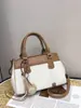 Bolso Nuevo Transfronterizo Otoño/Invierno 2026, Elegante y de Moda, Bolso de Hombro de Gran Capacidad, Bolso Cruzado, Bolso para el Trabajo