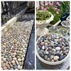 Guijarros, Piedras de Paisajismo, Piedras Multicolores Lavadas, Tratamiento de Agua con Piedras, Subestación Transformadora, Adoquines, Piedras Grandes y Pequeñas
