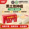 Arroz Orgánico Glutinoso del Noreste Wuchang Redondo 450g Arroz Embotellado para Hacer Tamales Venta al por Mayor y Etiquetado Personalizado
