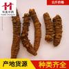 Qihuo 1000g Medicina Tradicional Chinesa Huamei e Materiais Medicinais Chineses Atacado Fornecimento Pronto Qihuo Produtos Novos