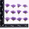 Colección de Flores Begonia, Especimen de Planta DIY con Relieve de Flor Seca, Especimen de Flor Real, Funda para Teléfono Móvil con Relieve, Marcapáginas, Marco de Fotos con Relieve