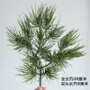 Galhos de pinho com frutos galhos de pinho falsos paisagem de pinho agulhas de pinho pinho negro galhos de cipreste pinho de boas-vindas árvore de Natal cavalinha grande pinho