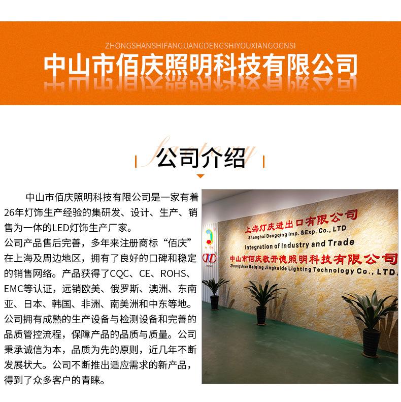 白光12V_15.jpg