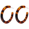 Brincos geométricos quentes de moda simples europeia e americana explosão amazônica placa de ácido acético acrílico leopardo C brincos