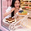Plato para Frutas Anti-Caídas, Base Grande para Postres para Sala de Estar, Plato para Frutas Doméstico, Plato de Plástico para Almacenamiento de Frutas para Casa de Té