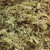 Medicina Herbal China Regaliz Blando Auténtico Artículos Nuevos al por Mayor 500g Medicina Herbal China Auténtica Hierba Blanda para el Hígado Hierba Armadura de Hierro Heno Blando