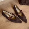 Novos Sapatos Mary Jane Estilo Francês 2025 com Forro de Pelúcia, Quentes, Bico Quadrado, Boca Rasa, Combinados com uma Saia, Sapatos de Festa Cor de Rosa