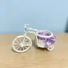 Yongshenghua DIY Hecho a Mano Cesta de Mini Adornos Triciclo de Boda Cesta Triciclo Creativo Cesta de Adornos de Mimbre