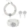 Colar de Pérolas para Dança de Festa dos Anos 1920, Pulseira, Brincos, Adorno de Cabeça, Xale, Conjunto de Fantasia Feminina Amazon em Estoque