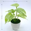 Venta Caliente Transfronteriza Flor Artificial Planta Verde Falsa Hogar Sala de Estar Escritorio Hoja de Camote Siempreverde Hoja de Tortuga Hoja de Taro Planta en Maceta