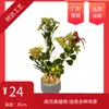 Planta em vaso com simulação e lâmpada para escritório e sala de estar, ornamentos de arranjo de flores, decoração de planta em vaso Phalaenopsis