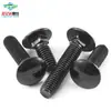 Parafusos de Carrinho de Aço Inoxidável 304 Preto com Múltiplas Cabeças, Suportes de Ponte com Cabeça Semicircular e Pescoço Quadrado, Parafusos Quadrados de Cabeça Chata M4, M5, M6, M8
