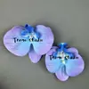 Cabeça de Flor de Orquídea Phalaenopsis Artificial, Textura de Película Impressa em 3D, Buquê Exquisito para Decoração de Casamento e Lembrança
