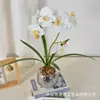 Película de Textura Impresa en 3D Simulación Flor Phalaenopsis Planta en Maceta Lujo Ligero Decoración de Sala de Estar de Casa de Gama Alta Adorno de Flor Artificial
